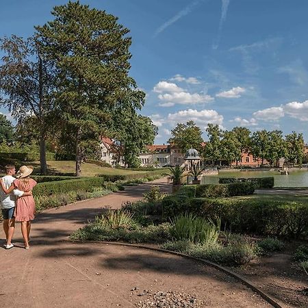 Traumhafte Auszeit Leilighet Bad Lauchstädt Eksteriør bilde